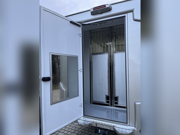 Peugeot Boxer Pferdewagen 2024, nur 29.000 km, neue Ausstattung – noch Garantie.