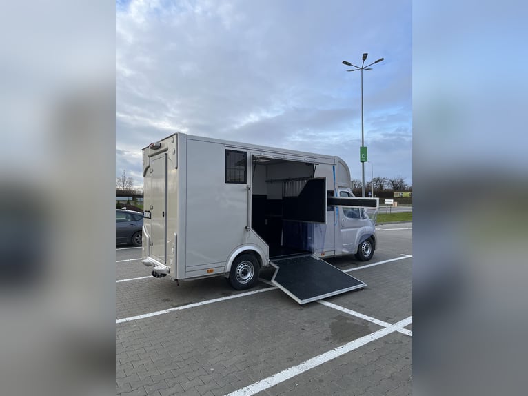 Peugeot Boxer Pferdewagen 2024, nur 29.000 km, neue Ausstattung – noch Garantie.