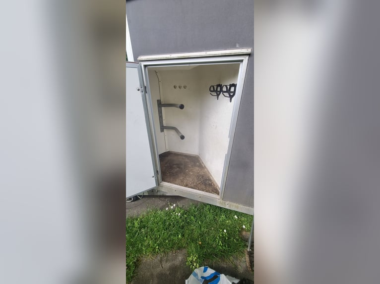 Pferdeanhänger 