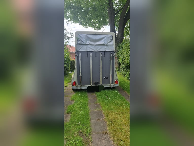 Pferdeanhänger 