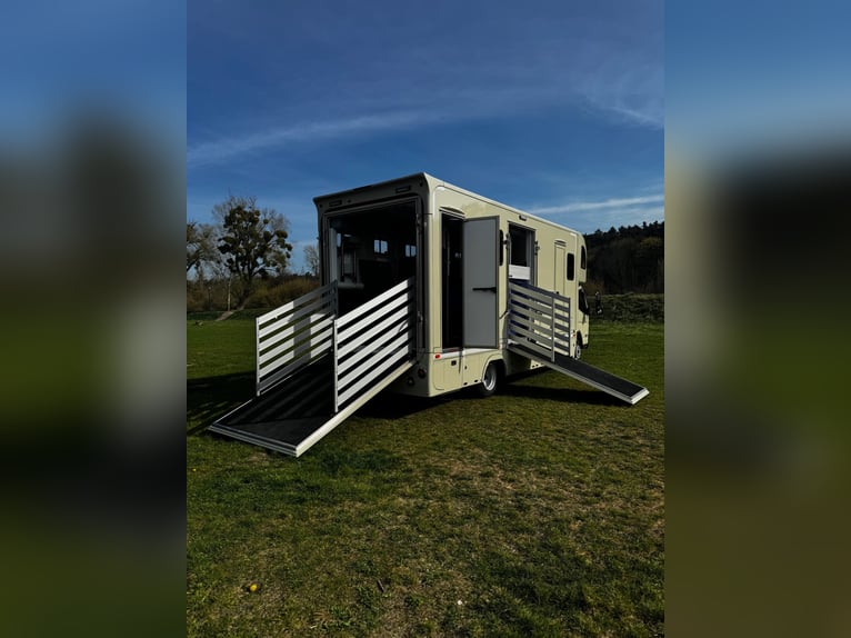 Pferdeanhänger Mitsubishi Fuso PRENTKI 2026