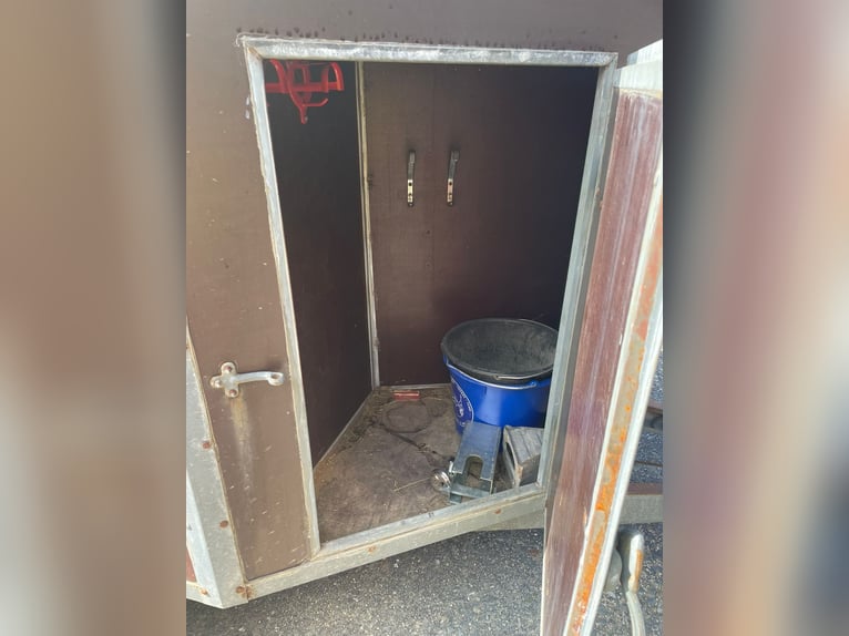 Pferdehänger 2er Poly Holz