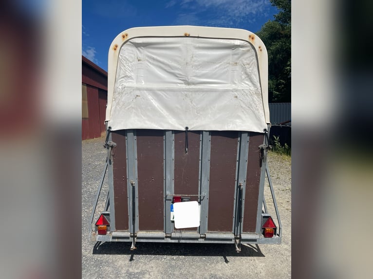 Pferdehänger 2er Poly Holz