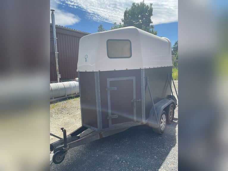 Pferdehänger 2er Poly Holz