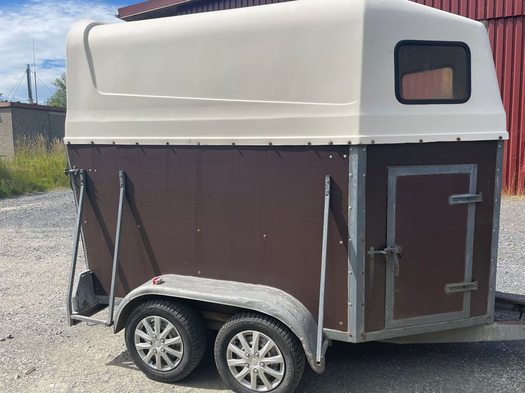 Pferdehänger 2er Poly Holz