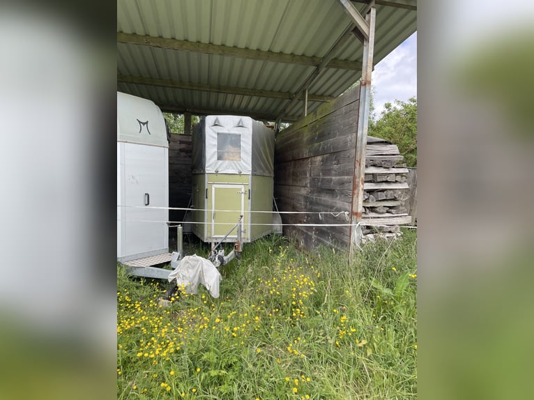 Pferdehänger mit Stallzelt. TÜV neu, Reifen neu