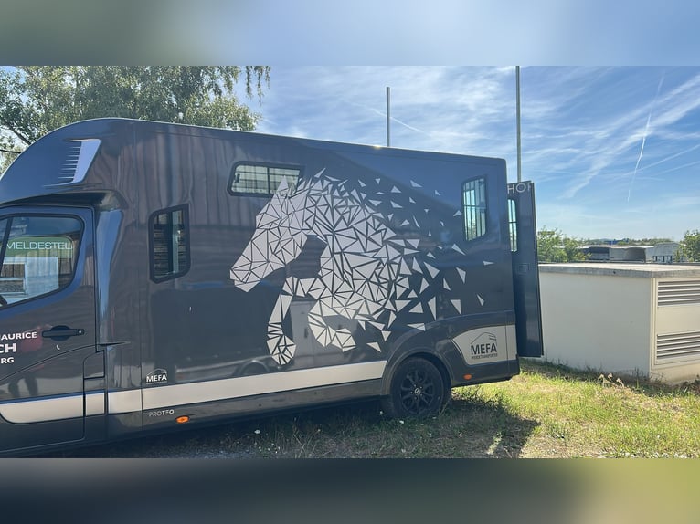 Pferdetransporter 3,5 t