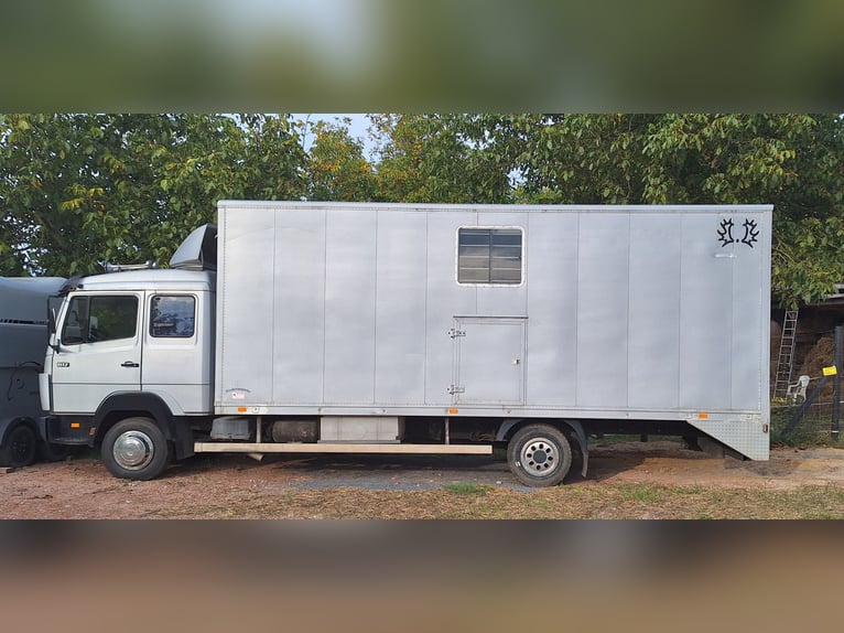 Pferdetransporter LKW Mercedes 4 Stellplätze Sattelkammer Wassertank Kameras