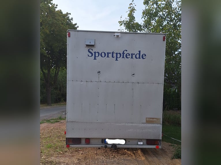 Pferdetransporter LKW Mercedes 4 Stellplätze Sattelkammer Wassertank Kameras