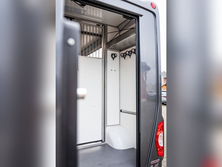Pferdetransporter LKW Sprinter Renault Master STX 3 Haras