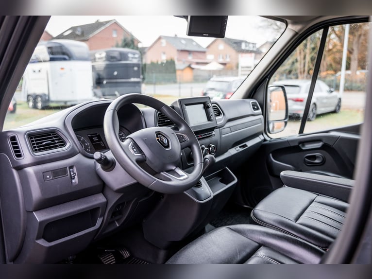 Pferdetransporter LKW Sprinter Renault Master STX 3 Haras