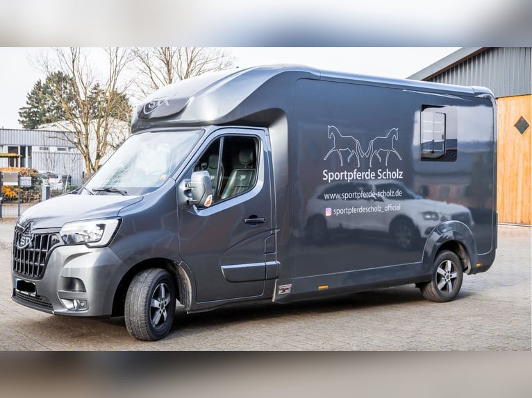 Pferdetransporter LKW Sprinter Renault Master STX 3 Haras