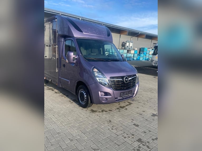 Pferdetransporter Opel Movano, 3,5 Tonnen, 2 Pferde, Erstzulassung 2021