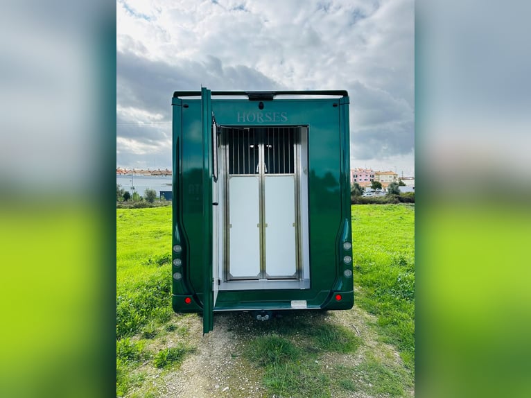 Pferdetransporter Renault ATM Haras / 5-Sitzer / Automatik Getriebe