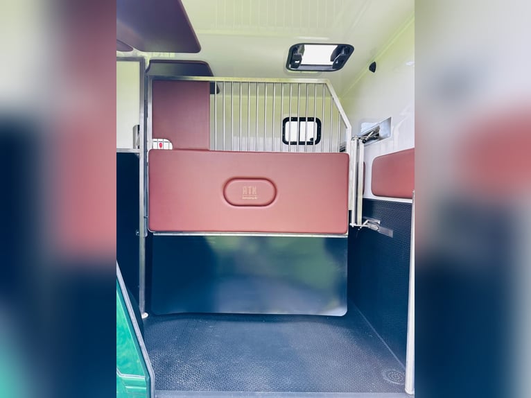 Pferdetransporter Renault ATM Haras / 5-Sitzer / Automatik Getriebe