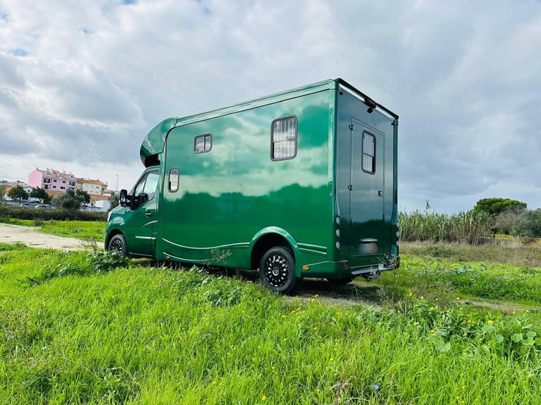 Pferdetransporter Renault ATM Haras / 5-Sitzer / Automatik Getriebe