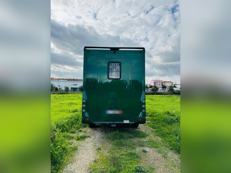 Pferdetransporter Renault ATM Haras / 5-Sitzer / Automatik Getriebe