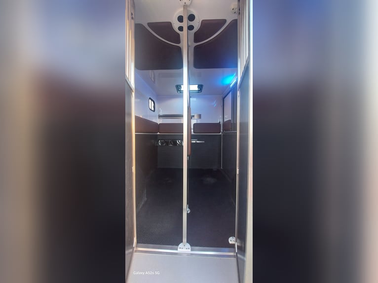 Pferdetransporter Renault Master ATM 5-Sitzer mit 2 J.Garantie