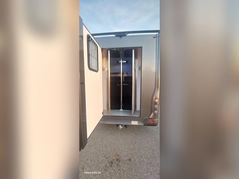 Pferdetransporter Renault Master ATM 5-Sitzer mit 2 J.Garantie
