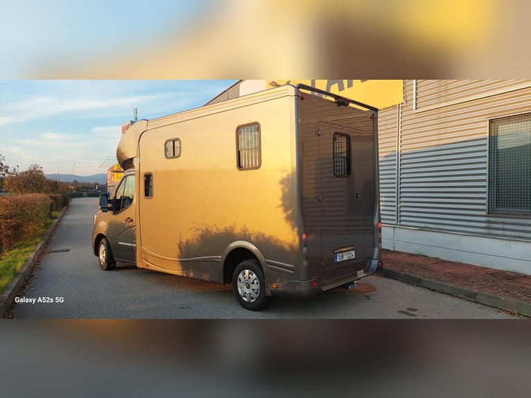 Pferdetransporter Renault Master ATM 5-Sitzer mit 2 J.Garantie