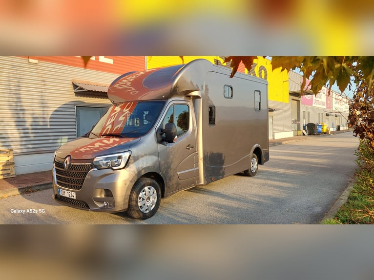 Pferdetransporter Renault Master ATM 5-Sitzer mit 2 J.Garantie