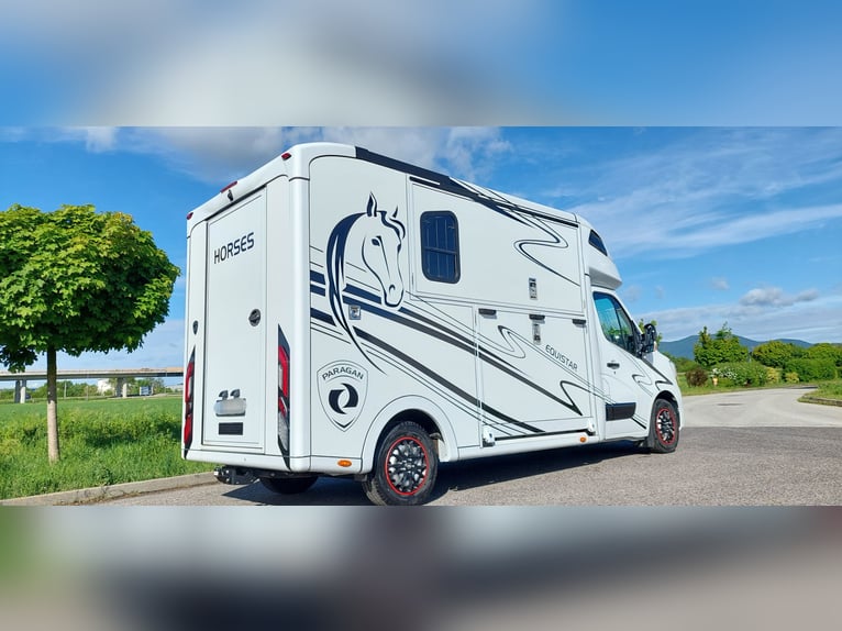 Pferdetransporter Renault Master PARAGAN EQUISTAR 3XL Competition