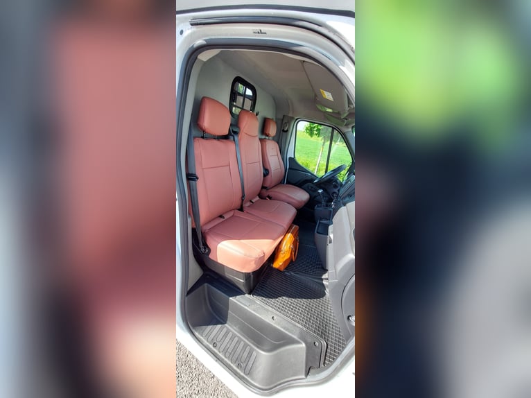 Pferdetransporter Renault Master PARAGAN EQUISTAR 3XL Competition