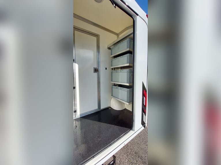 Pferdetransporter Renault Master PARAGAN EQUISTAR 3XL Competition