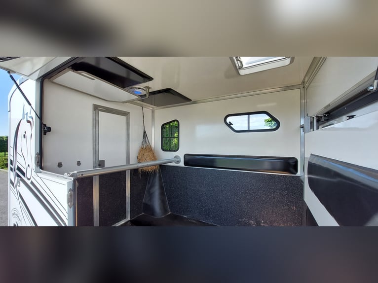 Pferdetransporter Renault Master PARAGAN EQUISTAR 3XL Competition
