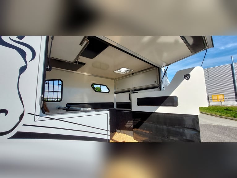 Pferdetransporter Renault Master PARAGAN EQUISTAR 3XL Competition