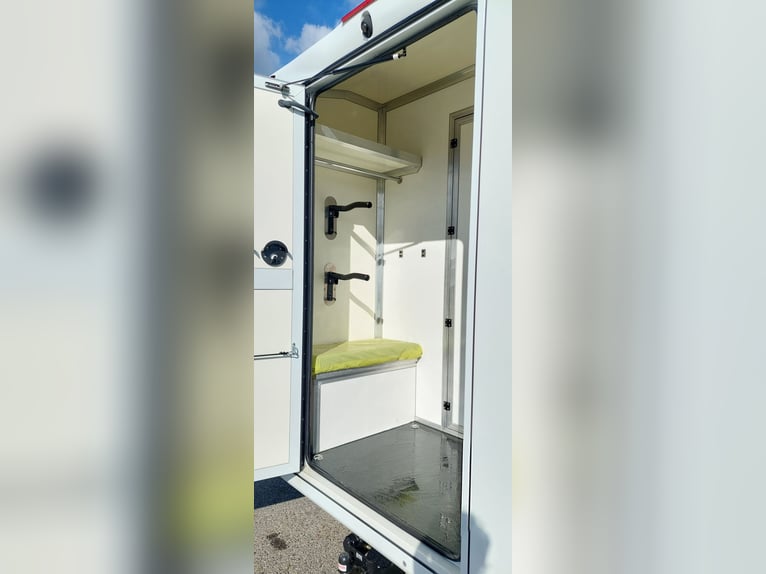 Pferdetransporter Renault Master PARAGAN EQUISTAR 3XL Competition