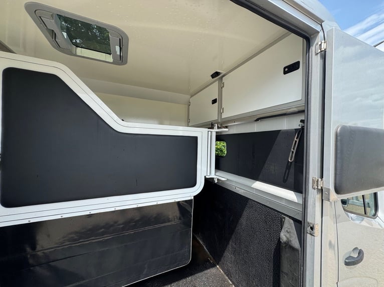 Pferdetransporter STX Automatik Tiertransporter Viehtransporter Horsetruck Paardencamionette