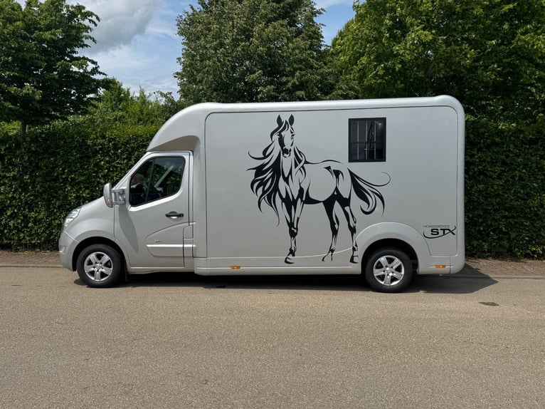 Pferdetransporter STX Automatik Tiertransporter Viehtransporter Horsetruck Paardencamionette