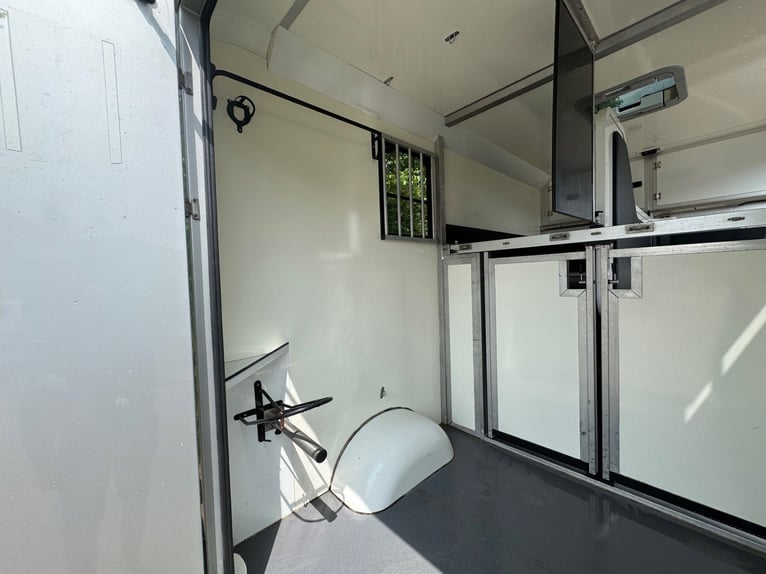 Pferdetransporter STX Automatik Tiertransporter Viehtransporter Horsetruck Paardencamionette