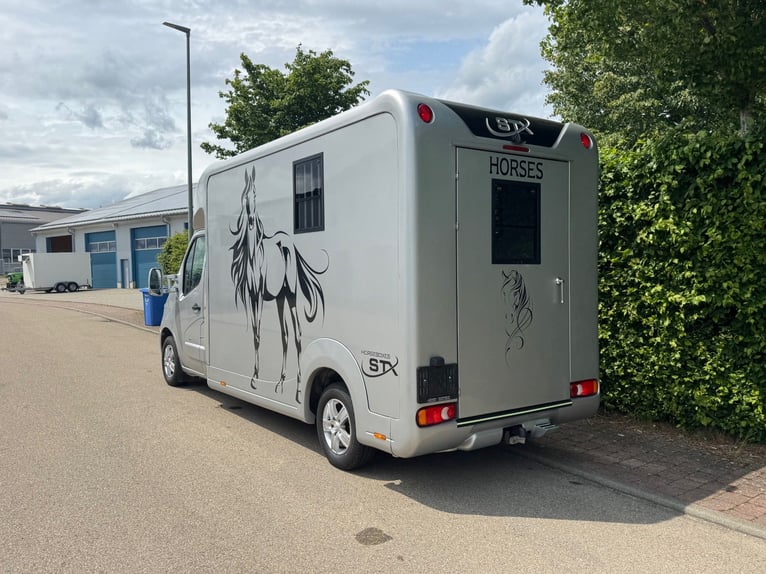 Pferdetransporter STX Automatik Tiertransporter Viehtransporter Horsetruck Paardencamionette