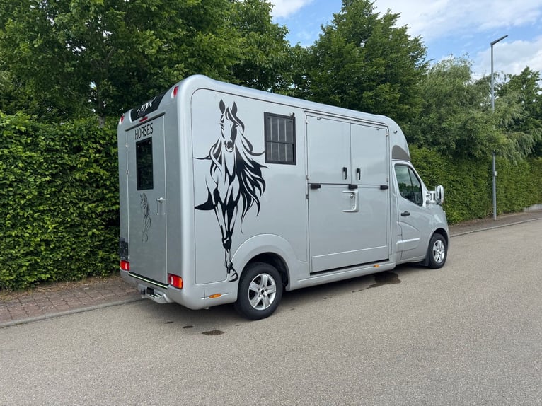 Pferdetransporter STX Automatik Tiertransporter Viehtransporter Horsetruck Paardencamionette