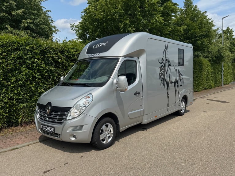 Pferdetransporter STX Automatik Tiertransporter Viehtransporter Horsetruck Paardencamionette