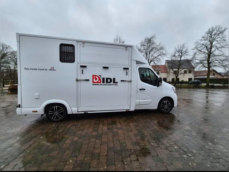 Renault JK Pferdeanhänger, Hengstversion!