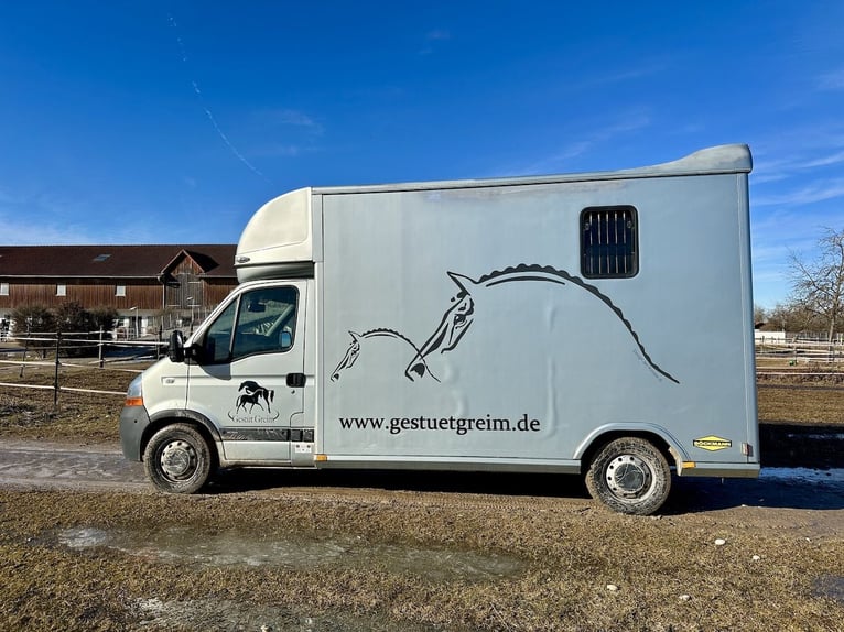 Renault Master Böckmann Compact TL 2-Pferdetransporter Compact Automatik LKW Sattelkammer