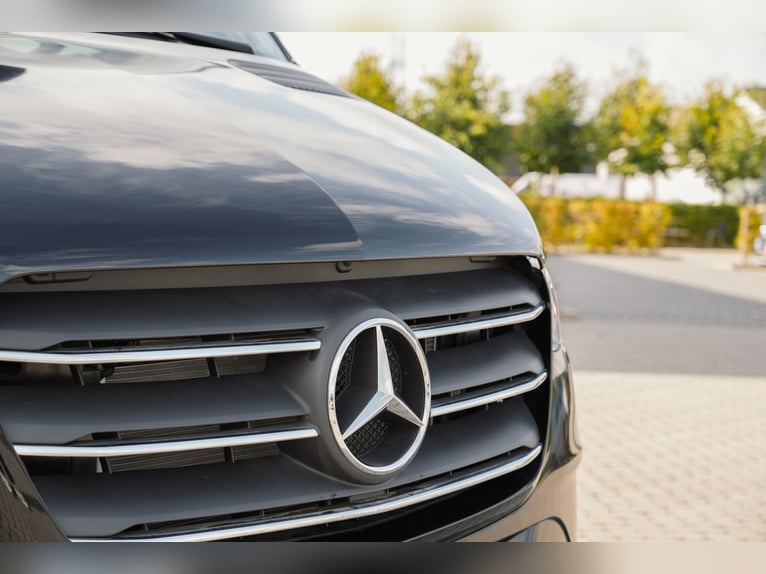 STX 2 Pferd – Exklusiver Mercedes Sprinter