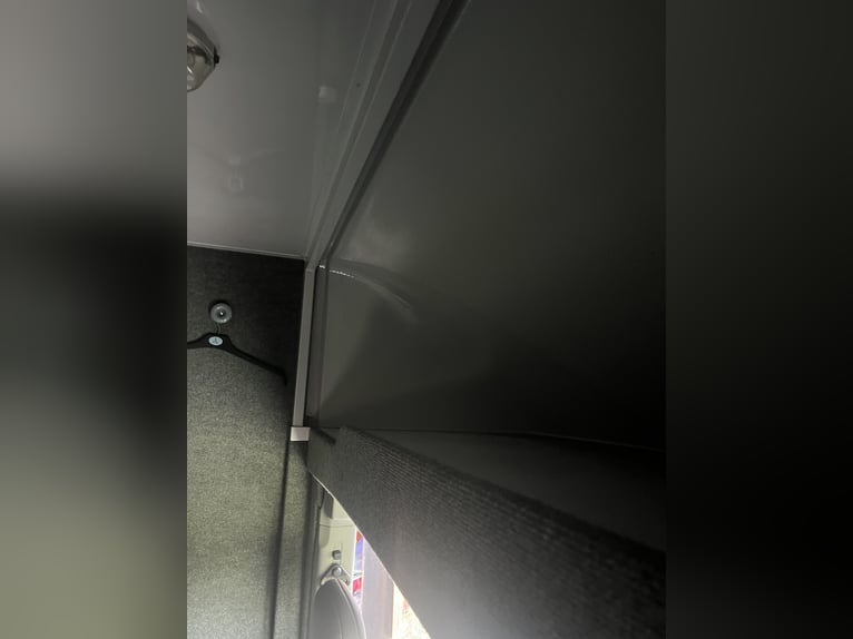 Tolle Pferdetransporteuer Renault MTM