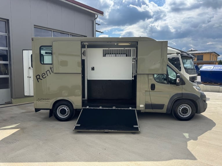Top gebrauchte Pferdetransporter und Pferdeanhänger +Wohnabteil