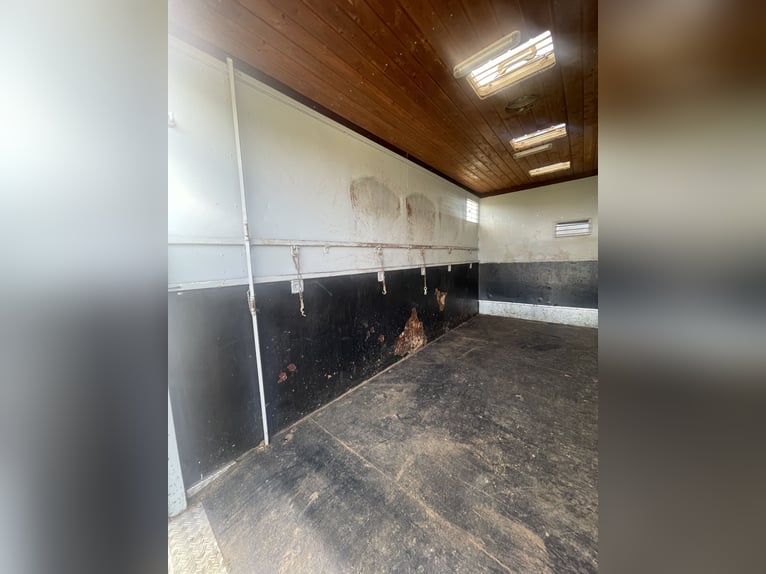 Top gepflegter Pferdetransporter variabel bis 5 Pferde