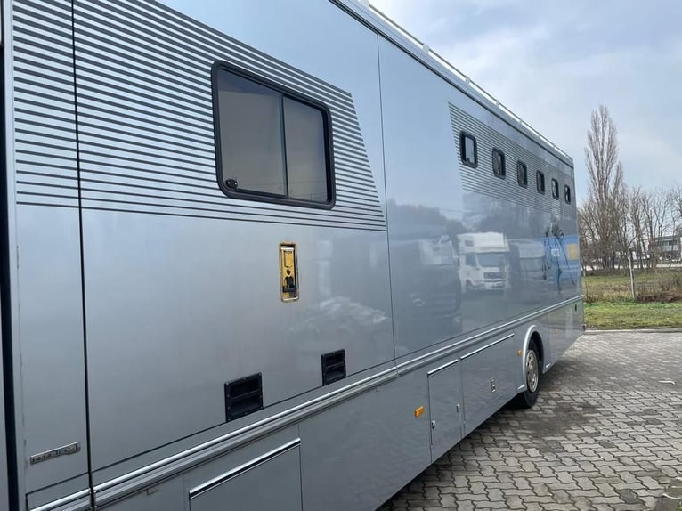 Top LKW für bis zu 6 Pferde 