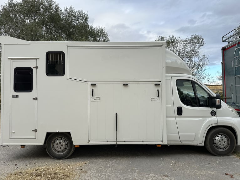 Transporter für 2 Pferde