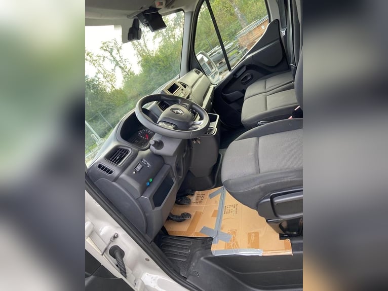 Pferdetransporter an: Renault Master 2024