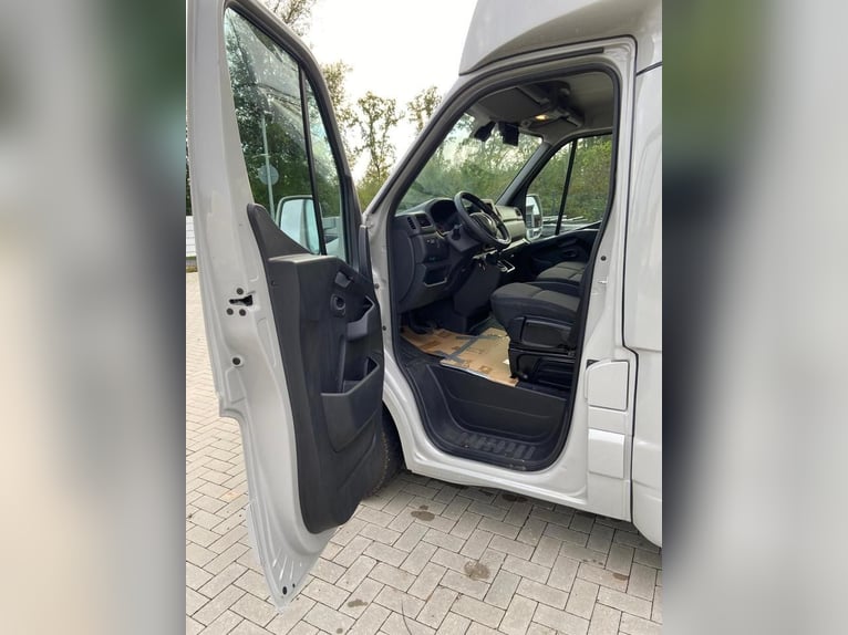 Pferdetransporter an: Renault Master 2024