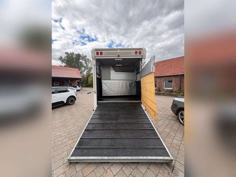 Pferdetransporter für 3 Pferde