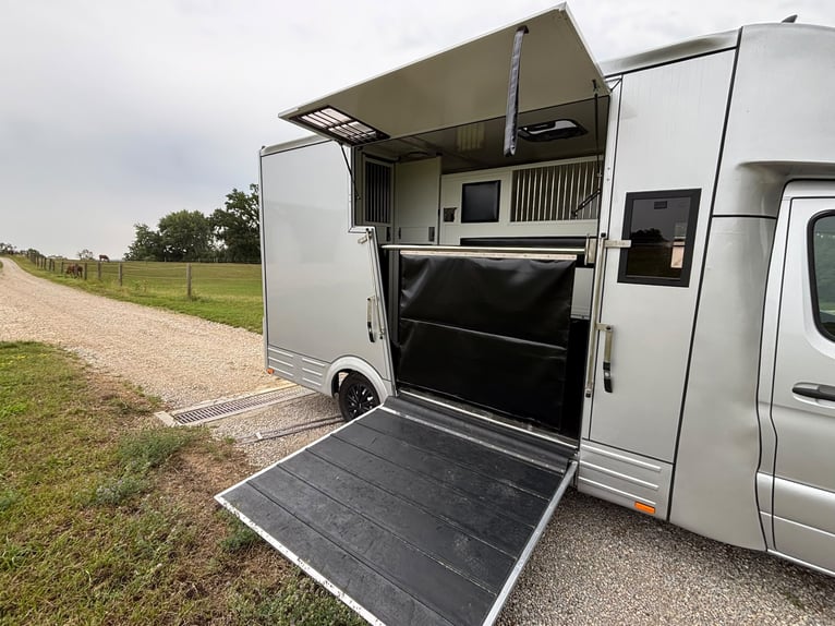 Pferdetransporter Mercedes Sprinter 200 PS Aufbau 2026 5 Sitze