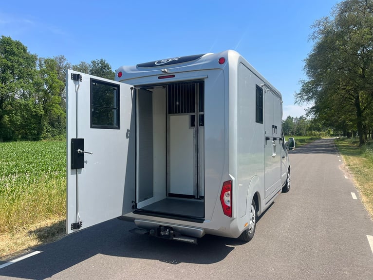 Transportes de Caballos Renault Master STX